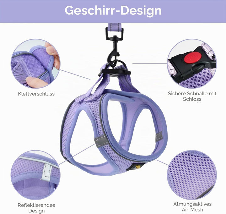 BELLA &amp; PAL Hundegeschirr Kleine Hunde mit Leine, Step-in Geschirr aus Air Mesh, Anti Zug Reflektier