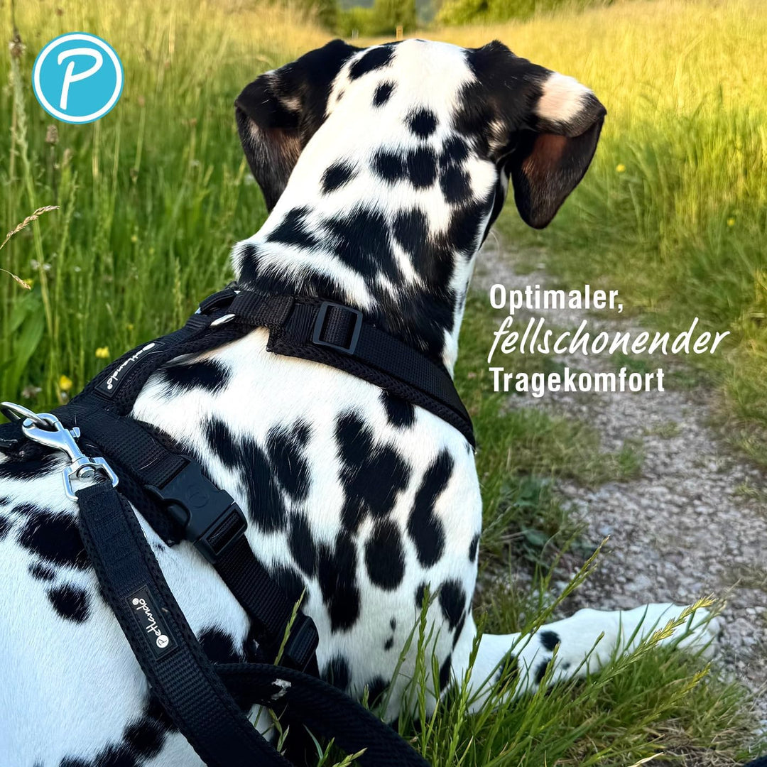 Petlando Hundegeschirr weich gepolstert mit Mesh, stufenlos verstellbar, bequemer Y-Comfort-Sitz, Br