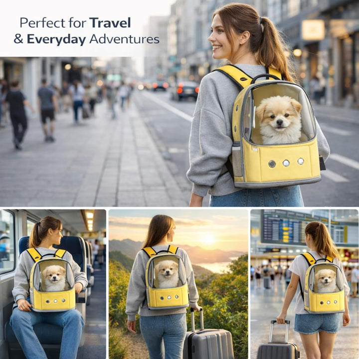 Blue Eyes Haustier Rucksack mit grossem Sichtfenster, Atmungsaktive Transporttasche für Katzen & kle