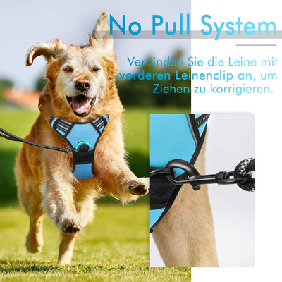 rabbitgoo Hundegeschirr Mittelgrosse Hunde Anti Zug Geschirr Hund mit Kontrolle No Pull Verstellbar