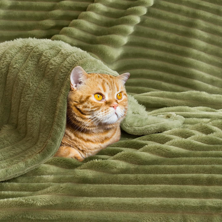 MIULEE Kuscheldecke Fleecedecke Flanell Decke Pompoms Einfarbig Wohndecken Couchdecke Flauschig Über