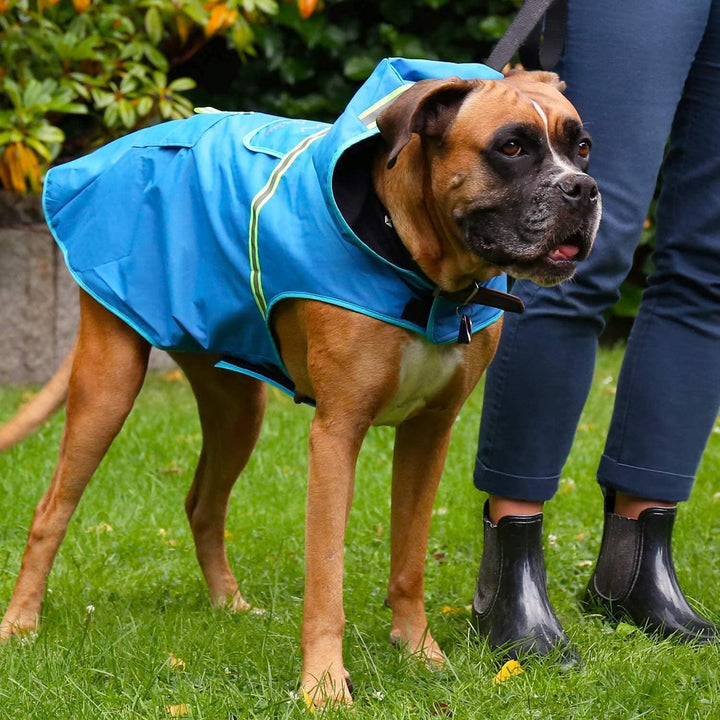 Bella & Balu Hunderegenmantel - Wasserdichter Hundemantel mit Kapuze und Reflektoren für trockene, s