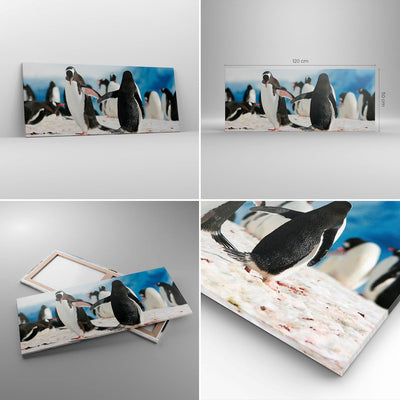 Wandbilder Dekoration Wohnzimmer Pinguine Winter Natur Schnee Panorama Bilder auf Leinwand 120x50cm