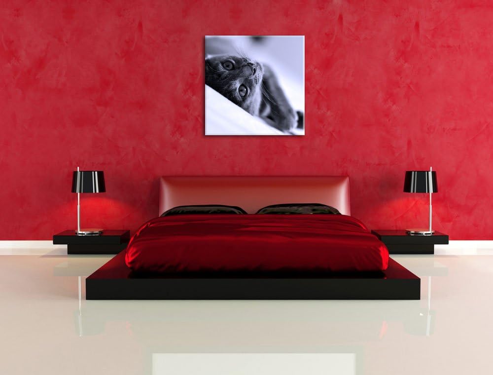 Pixxprint Niedliche Katze liegt im Bett als Leinwandbild Quadratisch/Grösse: 70x70 / Wandbild/Kunstd