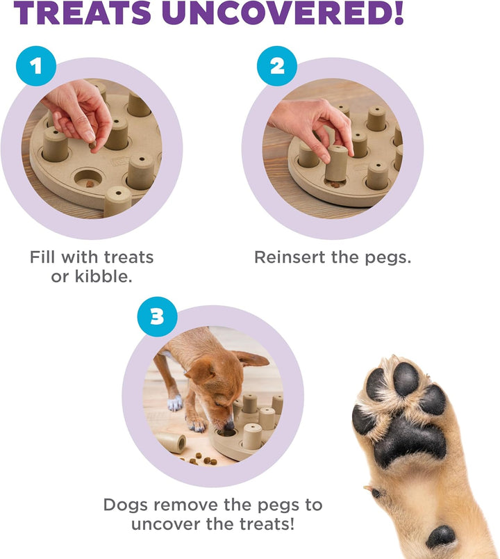 Outward Hound Nina Ottosson Dog Smart Treat Puzzle Enrichment Toy, Level 1 Beginner, Tan, Composite,
