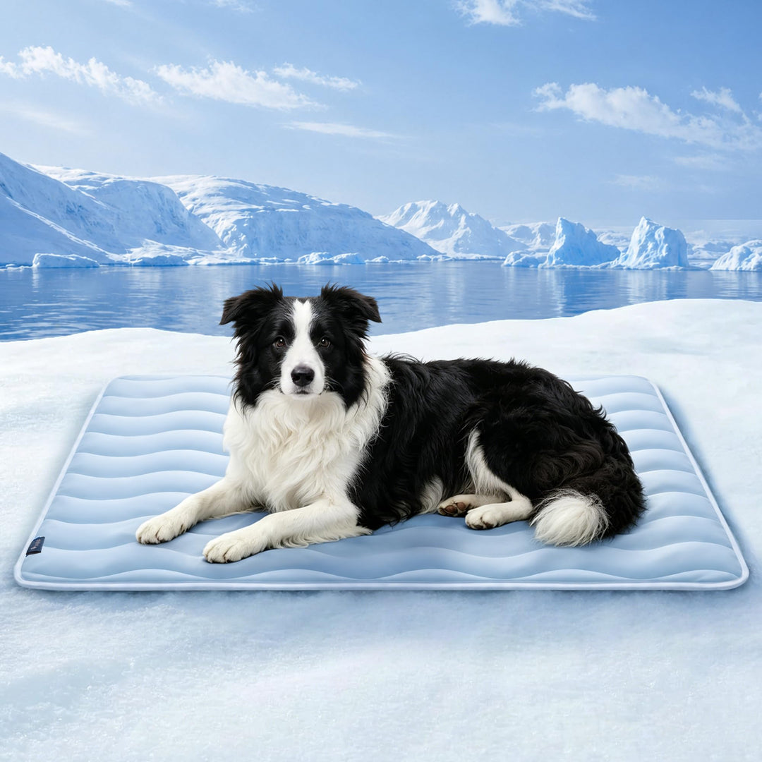 Angelpet Kühlmatte Hund 100x70cm, Q-MAX >0,56, Gel-freie selbstkühlende Kühldecke für grosse Hunde &amp;