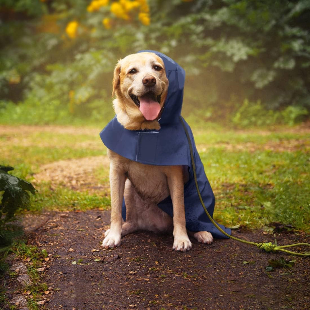 Idepet Regenmantel für Hunde, mit Kragenloch wasserdicht reflektierend Winddicht Poncho mit Kapuze f