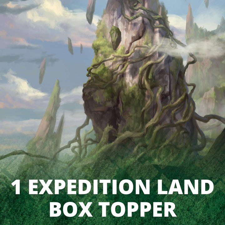 Magic The Gathering MTG - Zendikar Rising Draft Booster Display (36 Packs) - EN