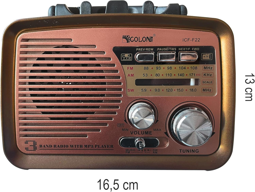 Retoo Radio Bluetooth FM Retro Nostalgie Kofferradio Gehäuse in Holzoptik Vintage Radio Kompaktanlag
