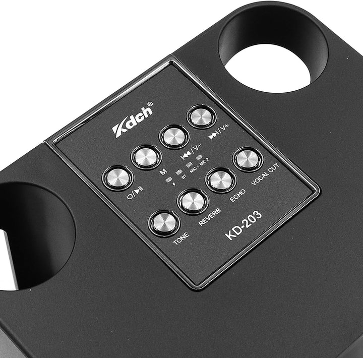WANGCL Mini-Karaoke-Lautsprecher, tragbares Mikrofon mit Lautsprecher, unterstützt Bluetooth, AUX, U