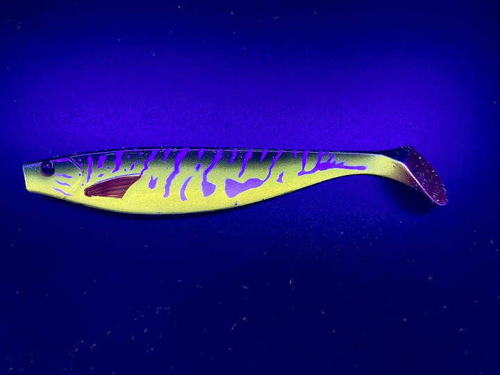 Petri's Catch 2016 PetrisCatch 4er Gummifisch Set + 4 Stahlvorfächer, 15cm, UV aktiv, Hecht, Zander