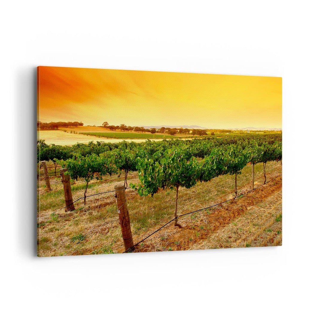Bilder auf Leinwand 100x70cm Leinwandbild Landschaft Weinberg Sonnenuntergang Gross Wanddeko Bild Sc