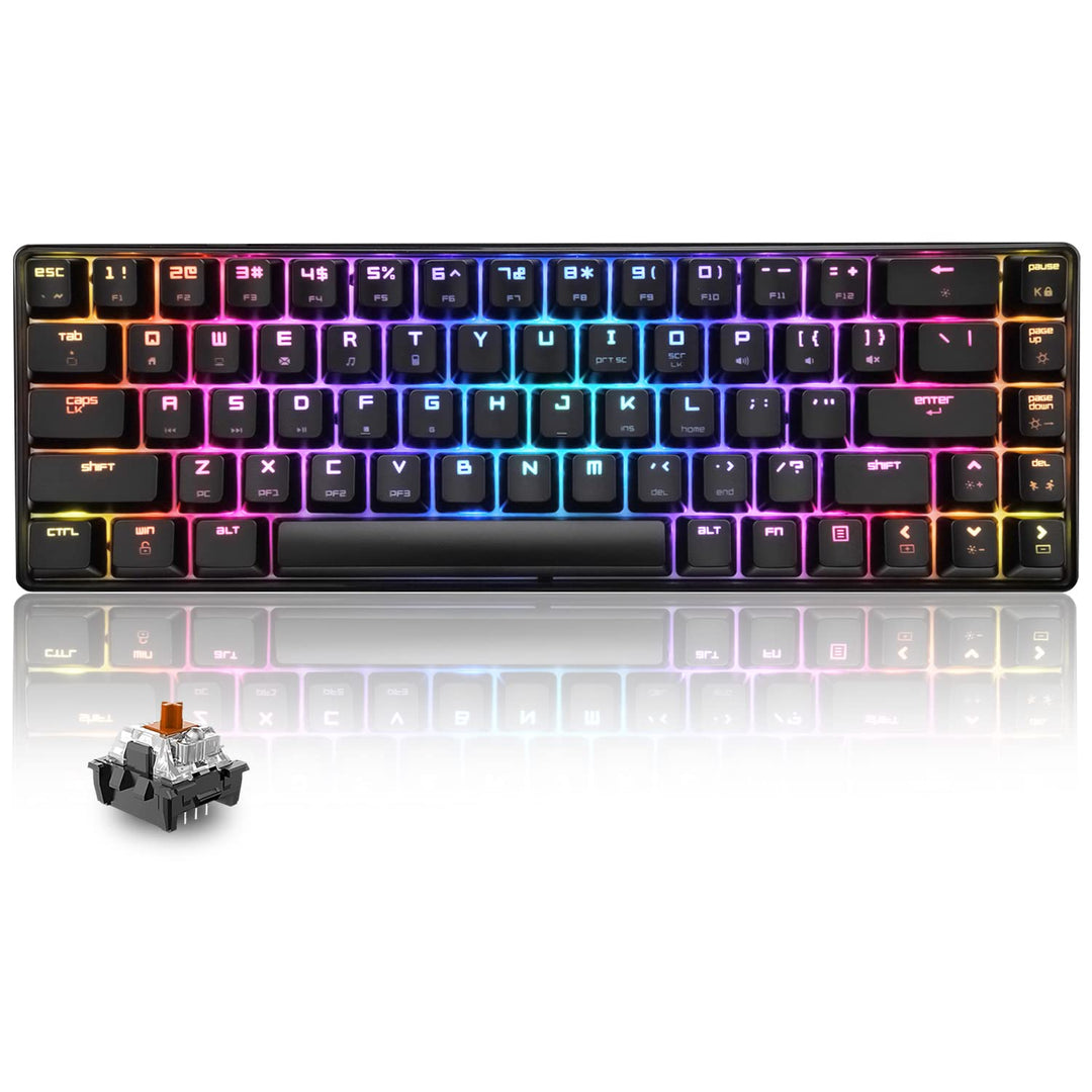 60% mechanische Mini-Tastatur, kompakt 68 Tasten, USB C, kabelgebunden, RGB-Tastatur, 18 Chroma Rain