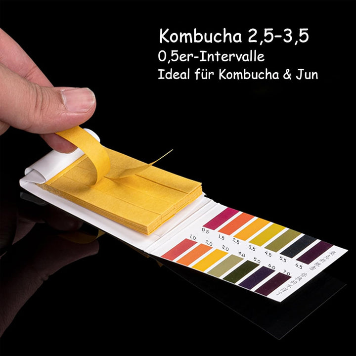 Kombucha Brauset mit 5,0L Glasfermenter & Hahn – Komplett-Set mit Edelstahl-Trichter, Tuch, Temperat