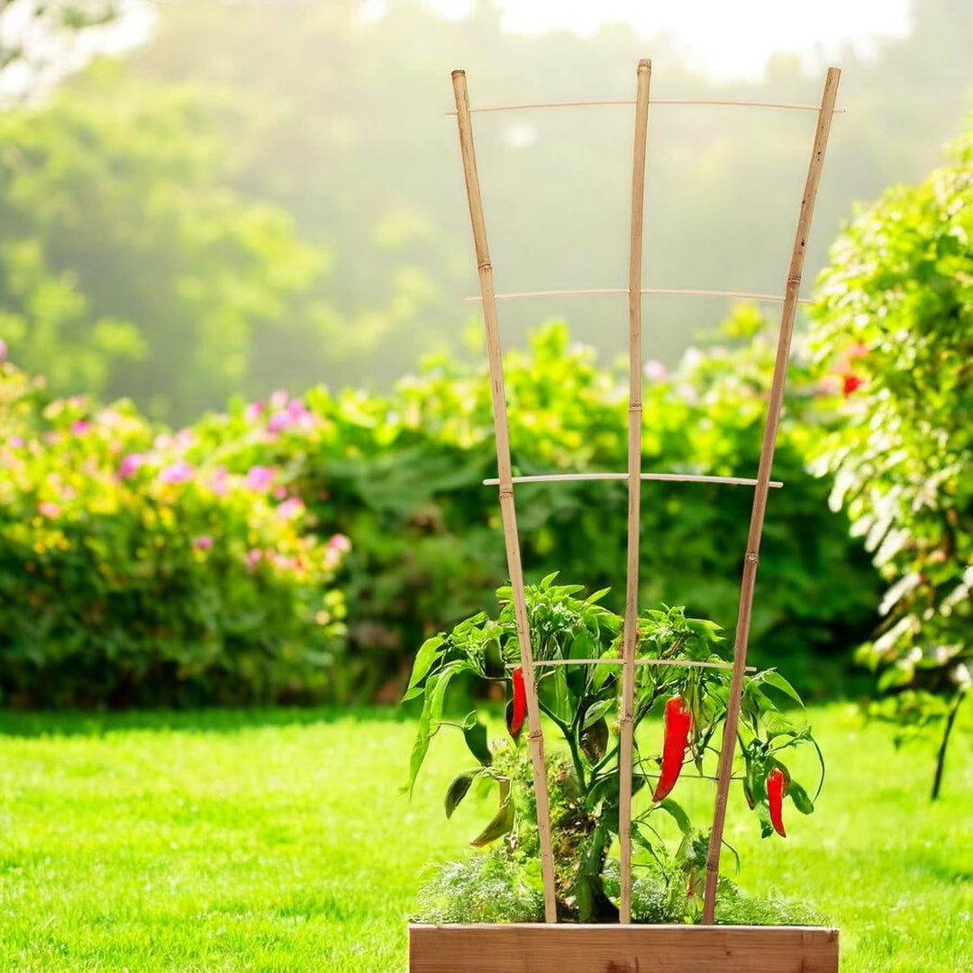 Bambus Rankgitter 75 x 35 cm Natur - 6er Set - Holz Kletterhilfe konisch für Rankpflanzen – Garten P