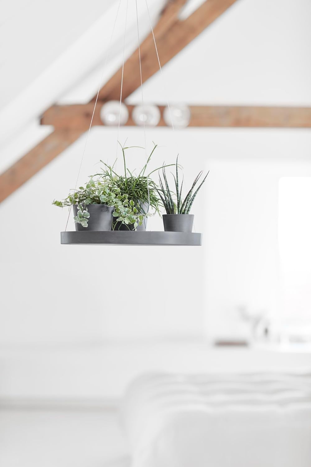 ECOPOTS Untersetzer hängend ø 36 cm grau rund - NUR Topfuntersetzer - OHNE TÖPFE - Unterteller für P