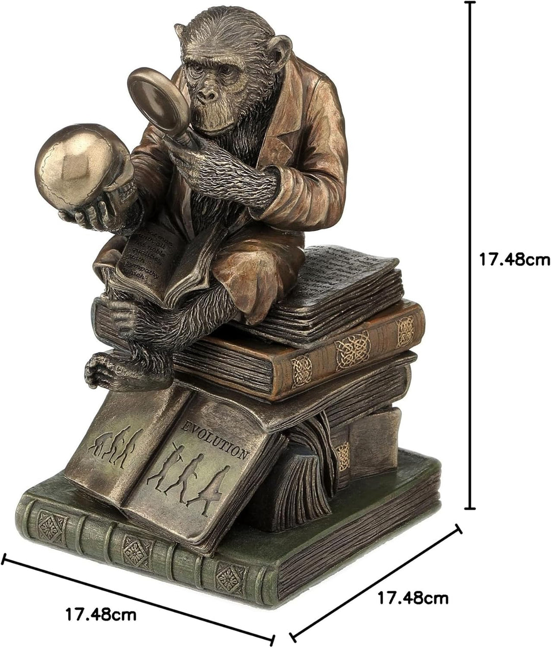 17,2 cm Schimpanse Scholar Dekorative Schmuckdose, bronzefarben