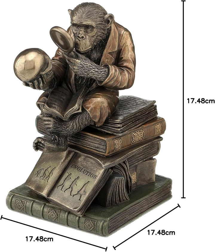 17,2 cm Schimpanse Scholar Dekorative Schmuckdose, bronzefarben