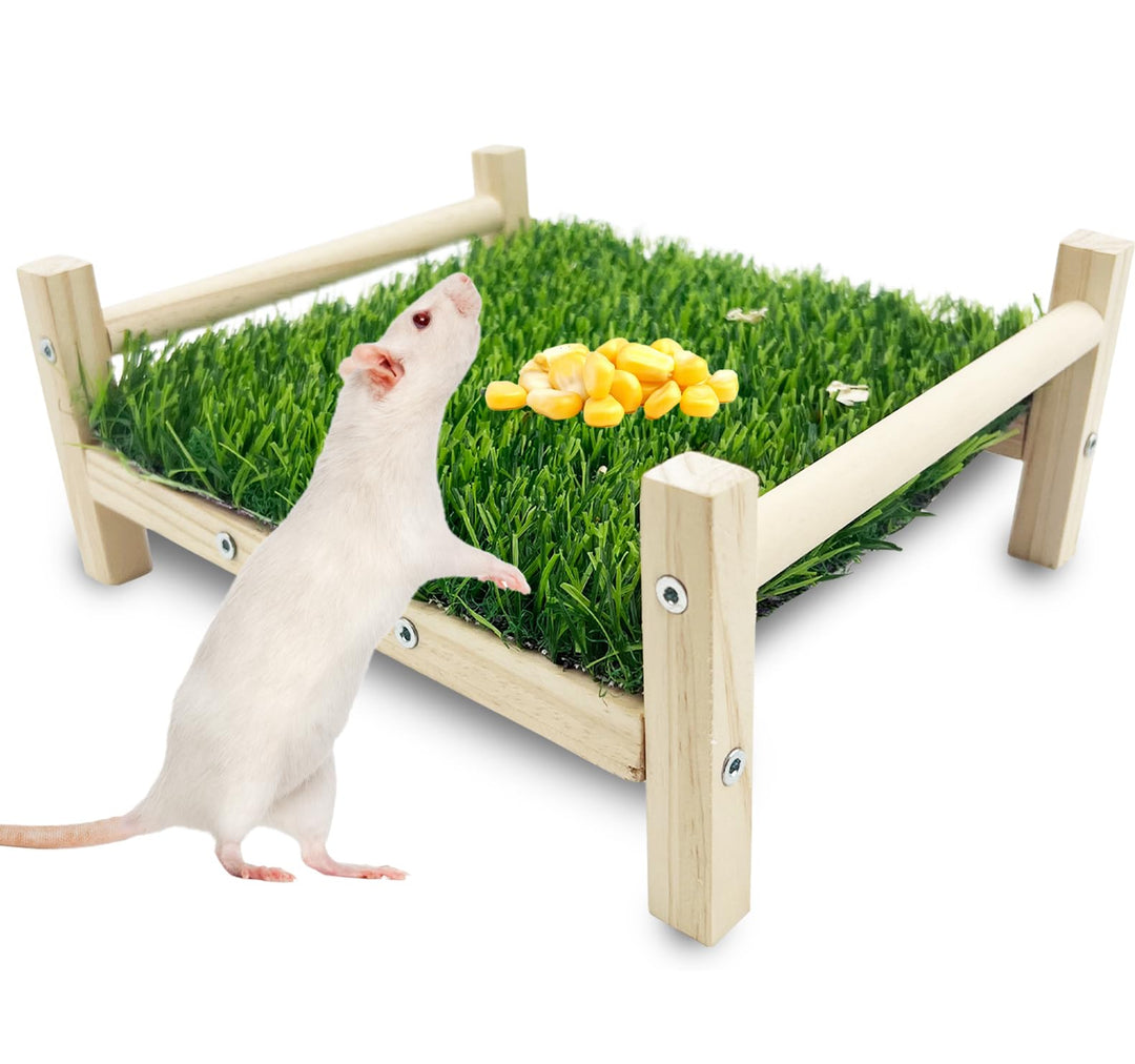 FlidRunest Holz-Ratten-Futtersuchspielzeug, Kunstrasen-Futtermatte für Ratten, sichere Rattenanreich