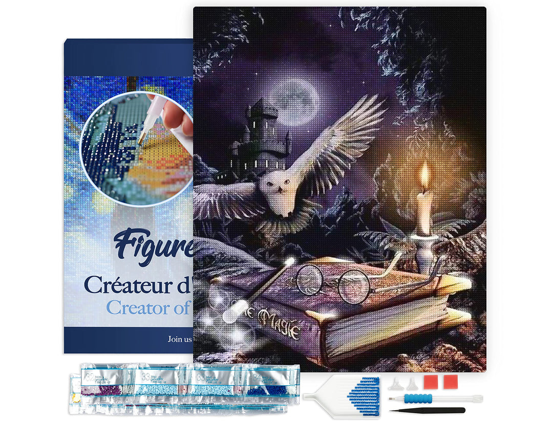 Figured'Art Diamond Painting Erwachsene 40x50cm Mit Rahmen Ganze Leinwand gespannt Magische Eule 5D