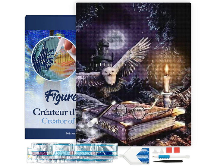 Figured'Art Diamond Painting Erwachsene 40x50cm Mit Rahmen Ganze Leinwand gespannt Magische Eule 5D