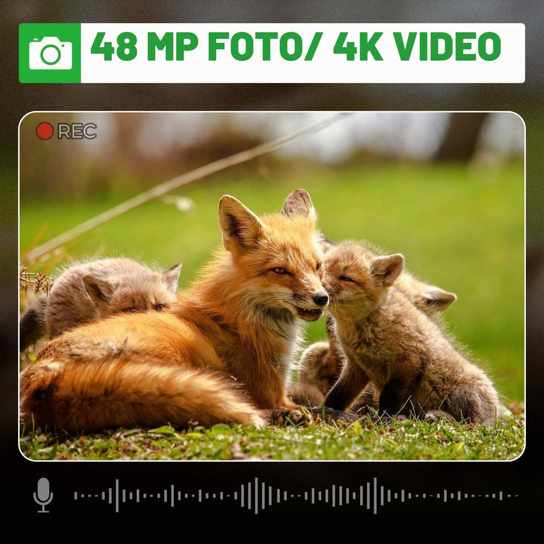 Coolifepro Wildkamera, 4K Video Wildtierkamera, 48MP Wildtierkamera mit Nachtsicht Bewegungsmelder,