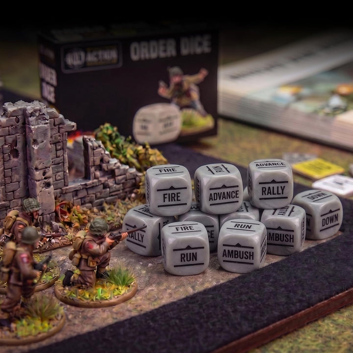 Bolt Action Order Dice - Grey