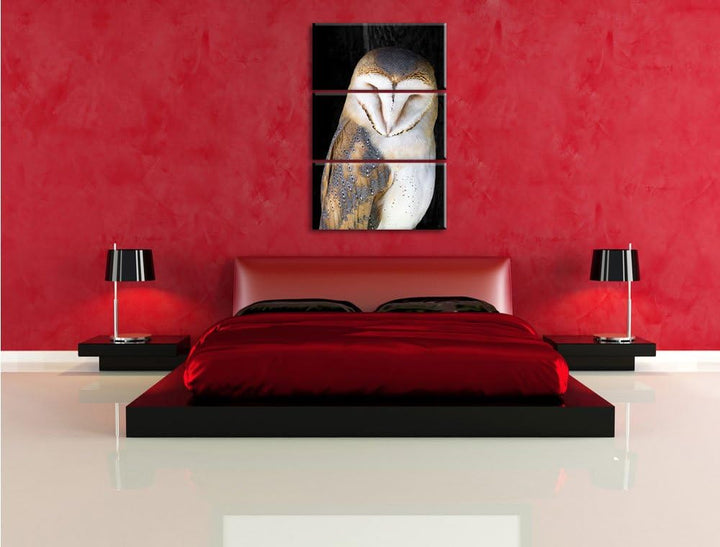 Pixxprint Schleiereule Schwarz/Weiss 3-Teiler Leinwandbild 120x80 Bild auf Leinwand