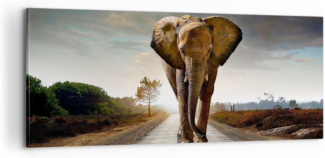 Panorama Bilder auf Leinwand 100x40cm Leinwandbild Elefant Strasse Landschaft Gross Wanddeko Bild Sc
