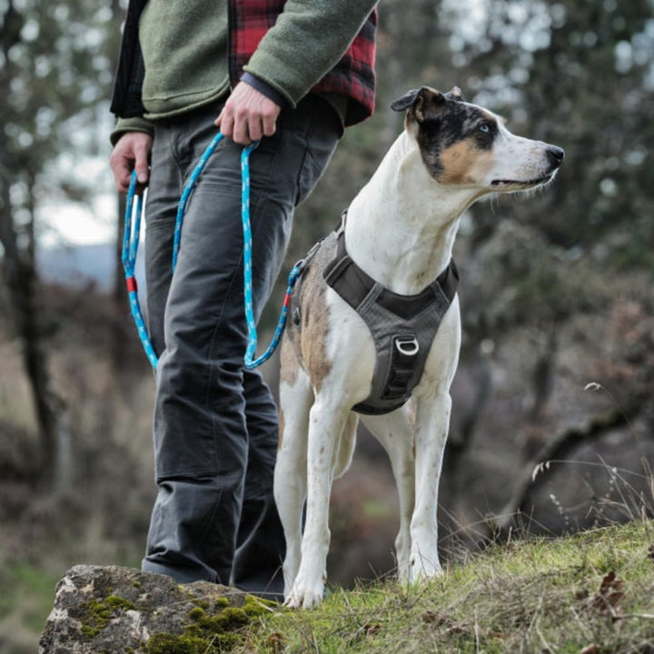 Kurgo Journey Air Hundegeschirr, Mit gepolstertem Brustteil und Rückgriff, Für Hunde von 11-23 kg, G