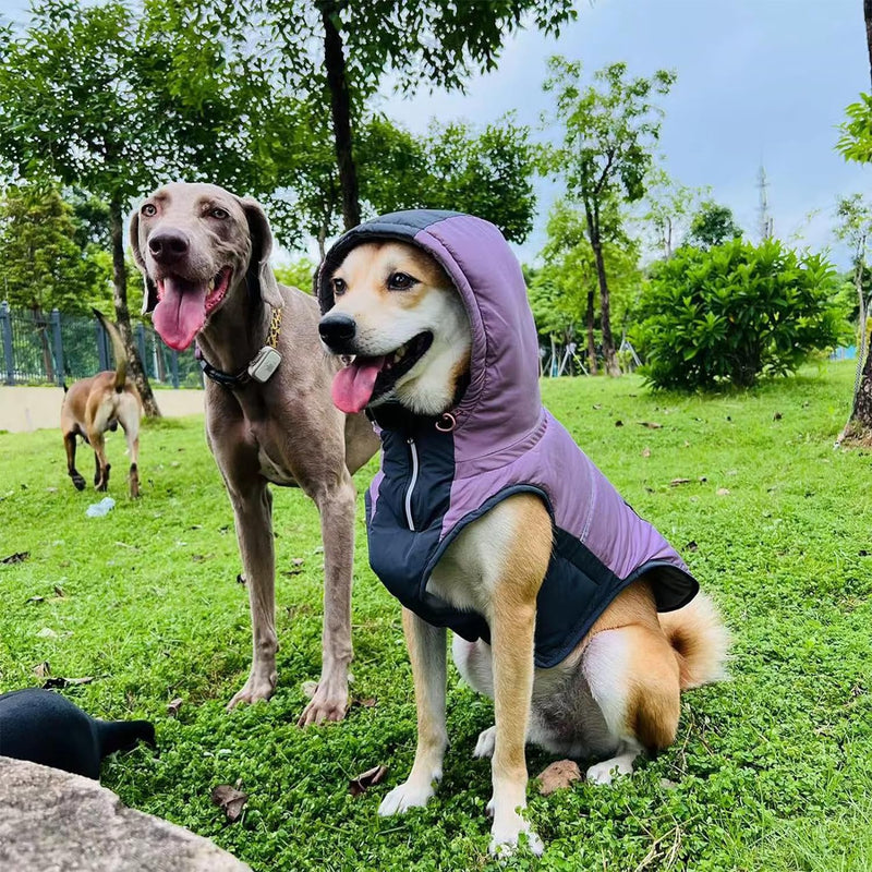 Hundemantel mit Kapuze, Winter Warme Hundejacke für Mittlere und Grosse Hunde, Winddichter Hundemant