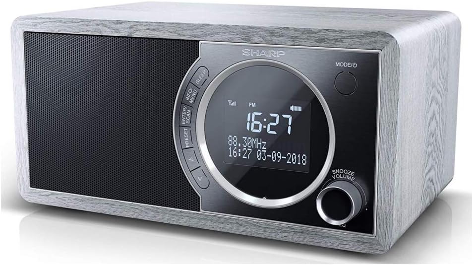 SHARP DR450 Digitalradio (DAB/DAB+/FM mit RDS, Bluetooth, Wecker-Funktionen, 6 Watt), grau Mono Digi