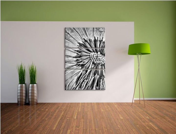 Pixxprint Vertrocknete Pusteblume als Leinwandbild/Grösse: 3 Teilig (120x80) cm/Wandbild/Kunstdruck/