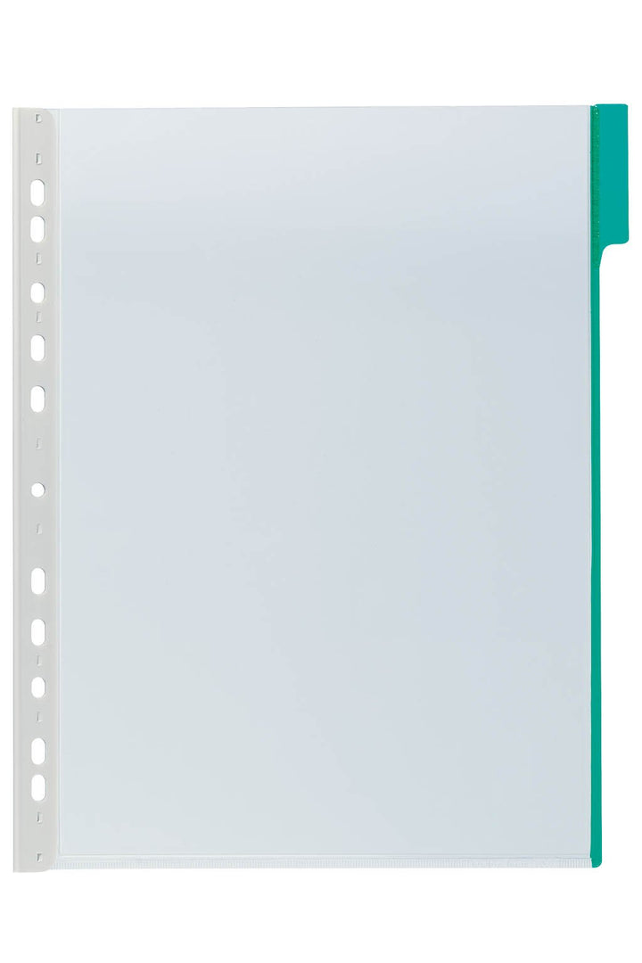 Durable Sichttafel Function Panel A4, Beutel à 5 Stück, grün, 560705, grün