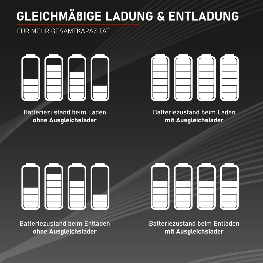 Loadchamp Batterie Ladungsausgleicher Ausgleichslader Balancer 24V 36V 48V Solar Akku Single, Single