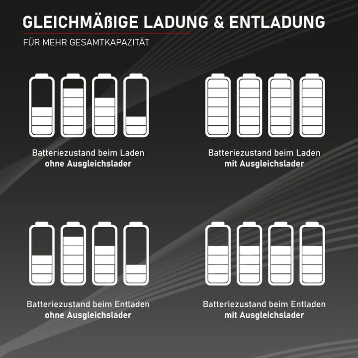 Loadchamp Batterie Ladungsausgleicher Ausgleichslader Balancer 24V 36V 48V Solar Akku Single, Single
