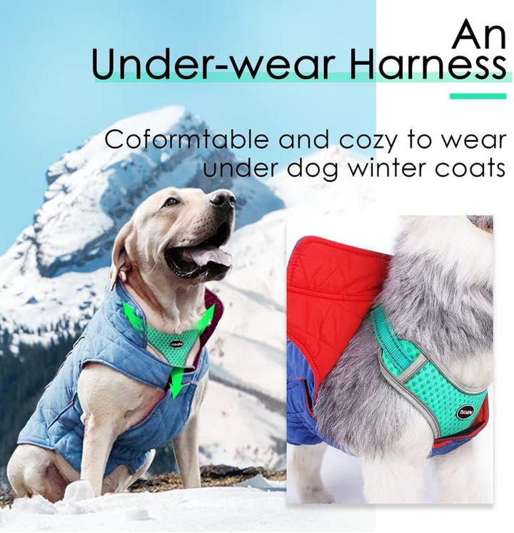ThinkPet No-Pull Hundegeschirr Leine Set, Atmungsaktiv Brustgeschirr für Kleine Mittlere Grosse Hund