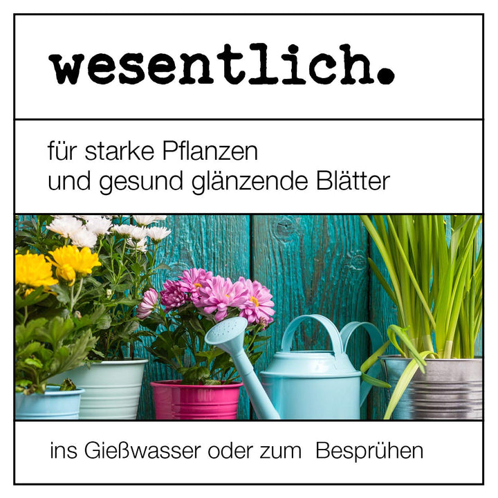 Neemöl mit Emulgator 250ml - fertig gemischt für sofortige Anwendung von wesentlich. 250 ml, 250 ml