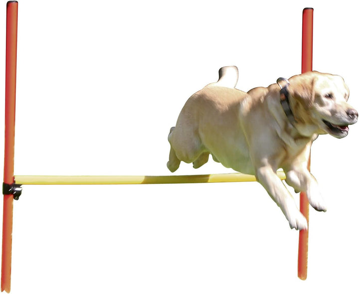 Kerbl Pet Agility Komplett-Set 3-teilig, rot/gelb