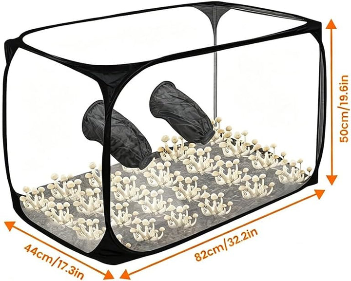 Sarini Mushroom Cultivation Still Air Box - Faltbare Transparente Pilz Wachsen Zelt Kit, Growing Kit