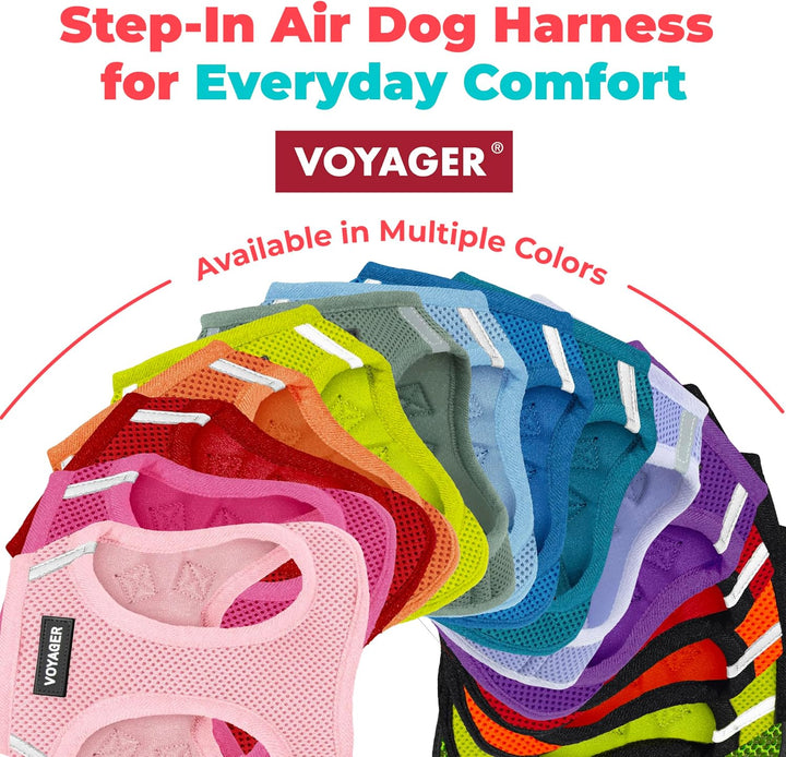 Voyager Step-in Air Hundegeschirr – Allwetter-Netzgewebe für kleine und mittelgrosse Hunde von Best