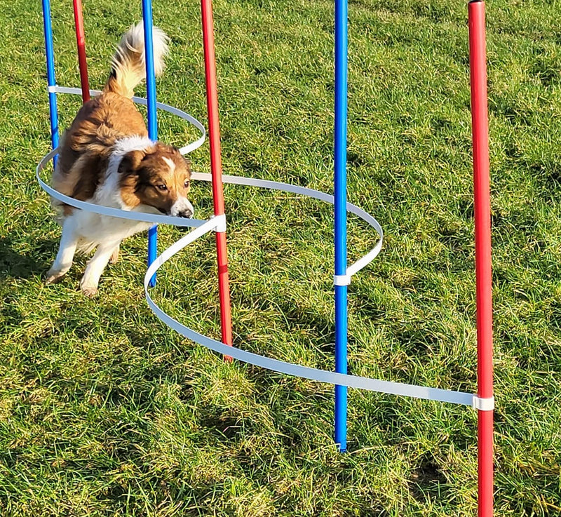 Wuzzmann Agility - Slalom - AUSBILDUNGSSET MIT 4 SLALOMBÖGEN/TRAININGSBÖGEN + 6 SLALOMSTANGEN ROT/BL