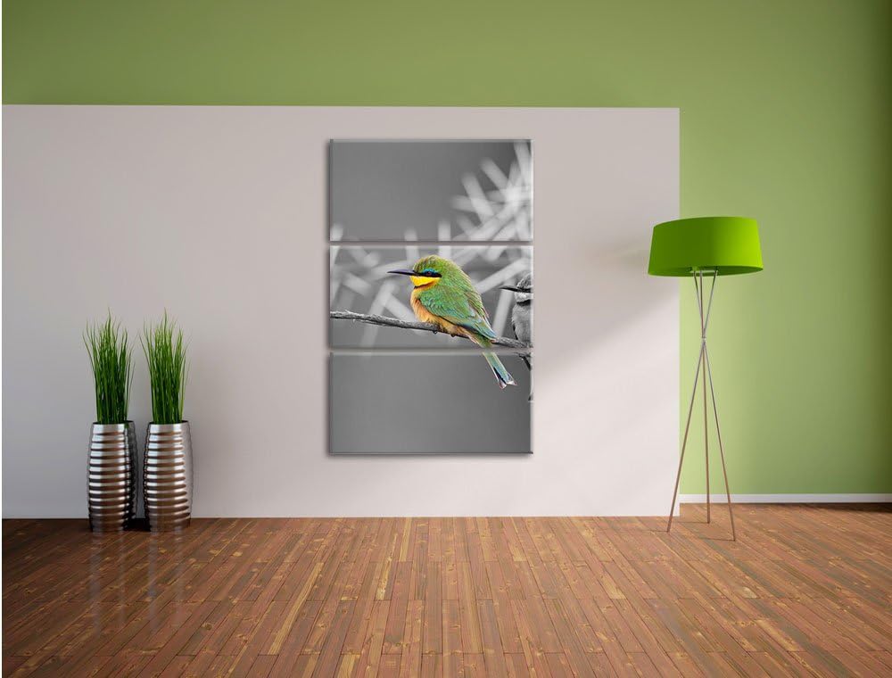 Pixxprint exotische Vögel auf AST als Leinwandbild/Grösse: 3 Teilig (120x80) cm/Wandbild/Kunstdruck/