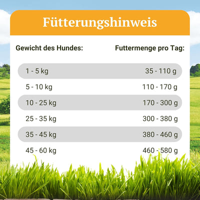 Bellfor Forstbach-Schmaus Kaltgepresst Trockenfutter mit Lachs und Forelle Getreidefrei Reich an Nat