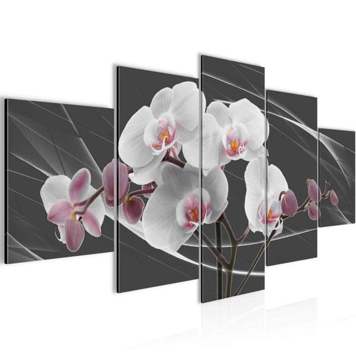 Runa Art Wandbilder Blumen Orchidee 5 Teilig Bild auf Vlies Leinwand Deko Wohnzimmer Abstrakt Rosa G