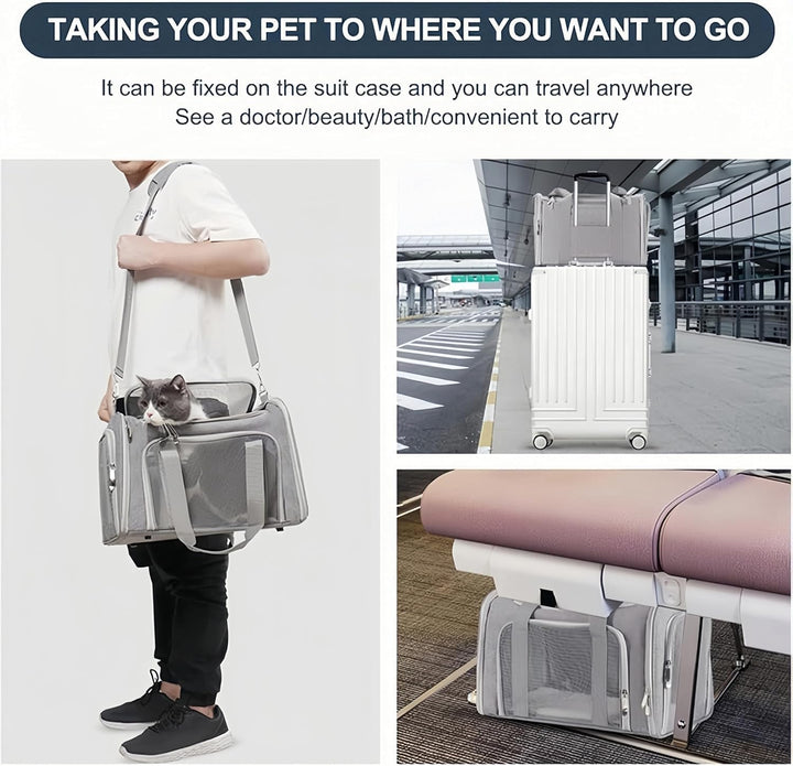 Transporttasche Katze Hund Gross Tragbare Haustiertasche für draussen Faltbar atmungsaktiv Grosse Ka