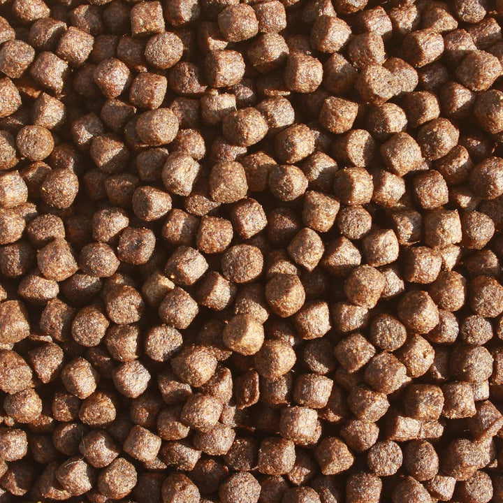 Koifutter, Grower, Energiefutter Koi, Wachstumsfutter Jungkoi, Schwimmfutter, Tosai Koifutter, arkti