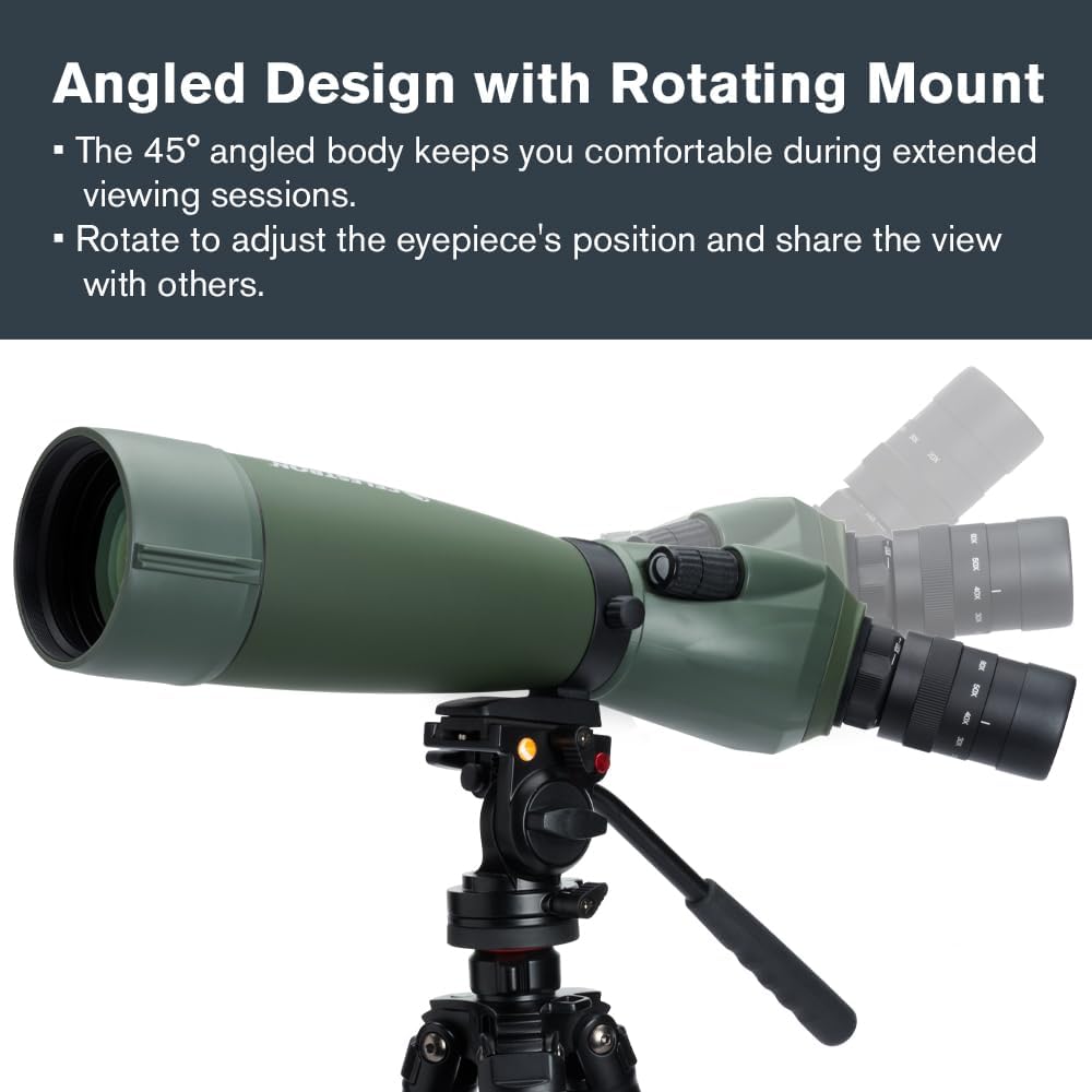 Celestron 52305 Regal M2 80ED Spektiv, Grün, Regal M2 80ED Spektiv