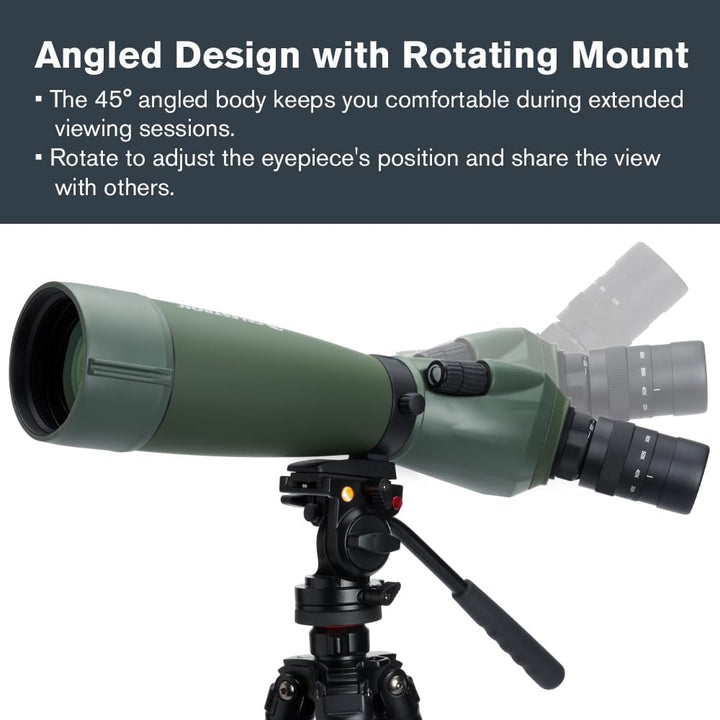 Celestron 52305 Regal M2 80ED Spektiv, Grün, Regal M2 80ED Spektiv