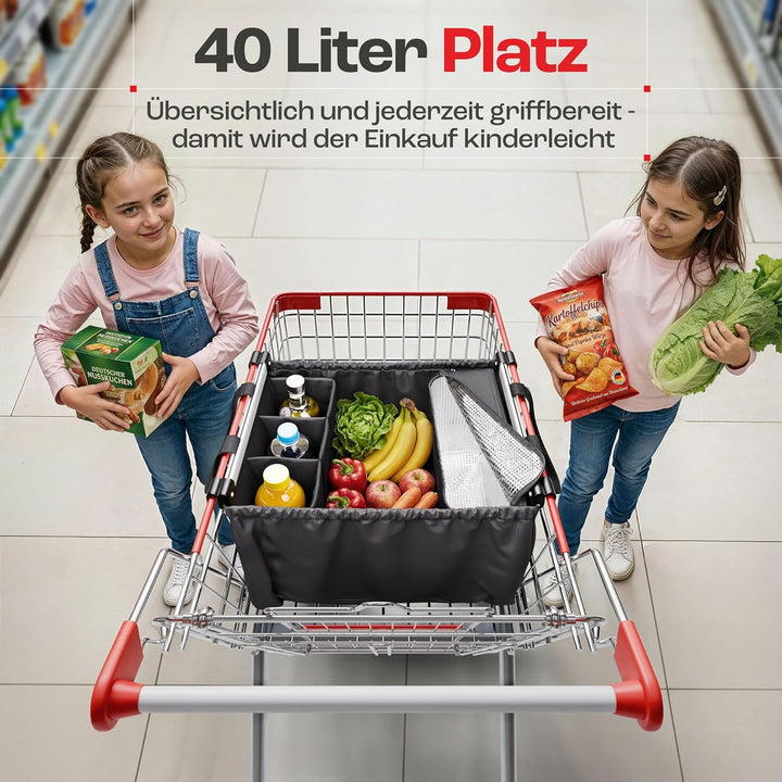 achilles Easy-Carrier Alu, Faltbare Einkaufswagentasche mit Kühlfach und Flaschenfach, Einkaufstasch